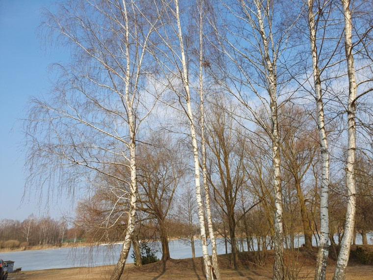 Parduodamas kitos paskirties sklypas Kempingo g., Marijampolės m., Marijampolės sav., 1 a ploto 10