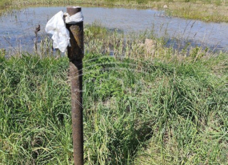 Parduodamas  sklypas Šiūparių k., Klaipėdos r. sav., 15 a ploto