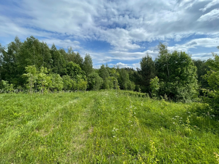 Parduodamas  sklypas Tintiniškių k., Vilniaus r. sav., 361 a ploto 3