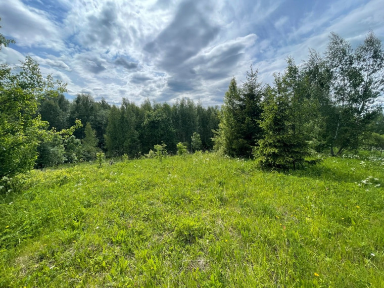 Parduodamas  sklypas Tintiniškių k., Vilniaus r. sav., 361 a ploto 4