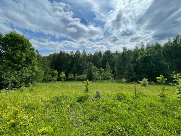 Parduodamas  sklypas Tintiniškių k., Vilniaus r. sav., 361 a ploto 5