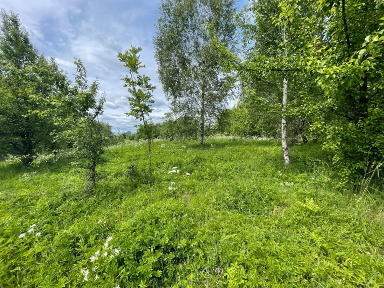 Parduodamas  sklypas Tintiniškių k., Vilniaus r. sav., 361 a ploto 8
