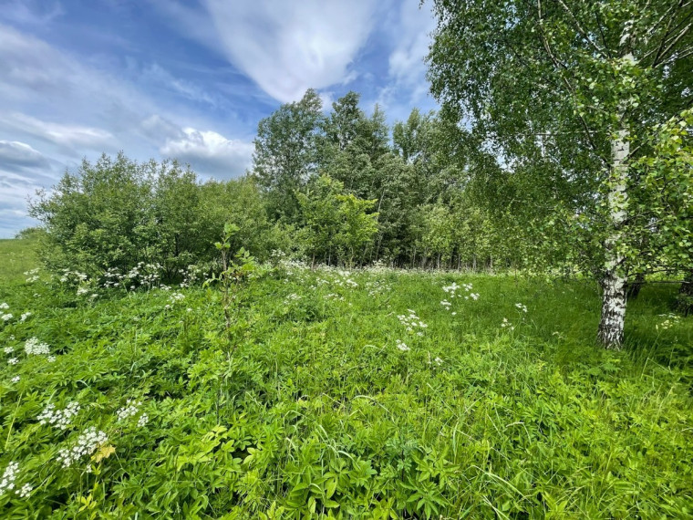 Parduodamas  sklypas Tintiniškių k., Vilniaus r. sav., 361 a ploto 9