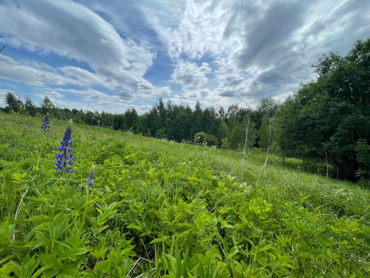 Parduodamas  sklypas Tintiniškių k., Vilniaus r. sav., 361 a ploto 10