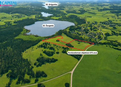 Parduodamas sklypas Žaugėdų k., Molėtų r. sav., 675 a ploto Parduodamas sklypas Žaugėdų k., Molėtų r. sav., 675 a ploto