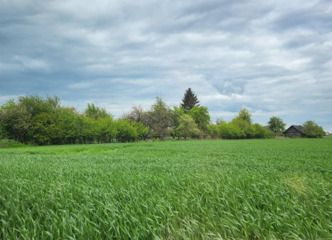 Parduodamas namas Nibragalio k., Panevėžio r. sav., 70.00 m² ploto 2 kambariai Parduodamas namas Nibragalio k., Panevėžio r. sav., 70.00 m² ploto 2 kambariai