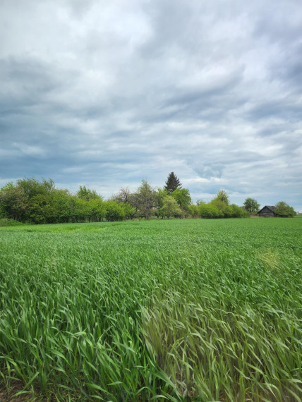 Parduodamas namas Nibragalio k., Panevėžio r. sav., 70.00 m² ploto 2 kambariai 1