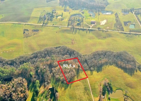 Parduodamas sklypas Antakalnių k., Utenos r. sav., 80.5 a ploto