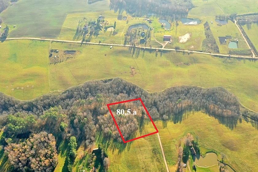 Parduodamas sklypas Antakalnių k., Utenos r. sav., 80.5 a ploto 1