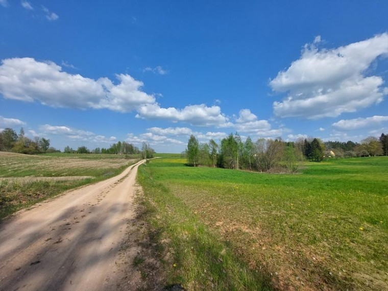 Parduodamas sklypas Antakalnių k., Utenos r. sav., 80.5 a ploto 4