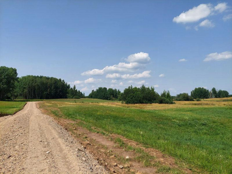 Parduodamas sklypas Antakalnių k., Utenos r. sav., 80.5 a ploto 6