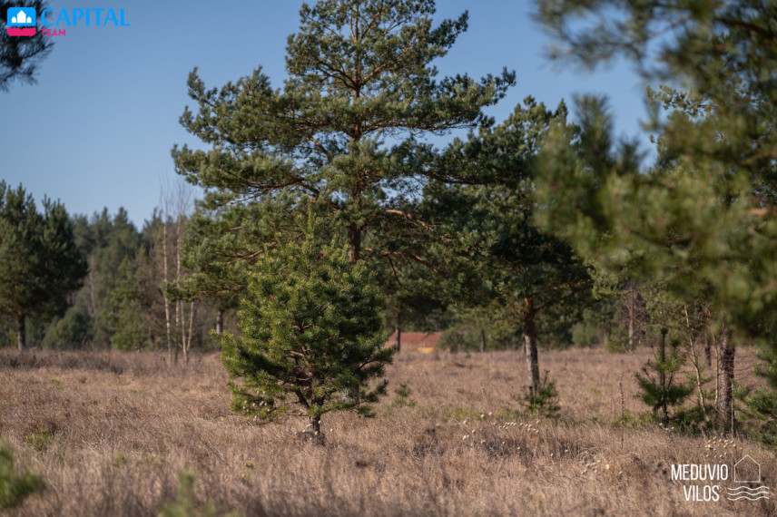 Parduodamas  sklypas Luknos g., Senojo Tarpupio k., Trakų r. sav., 25.89 a ploto 10