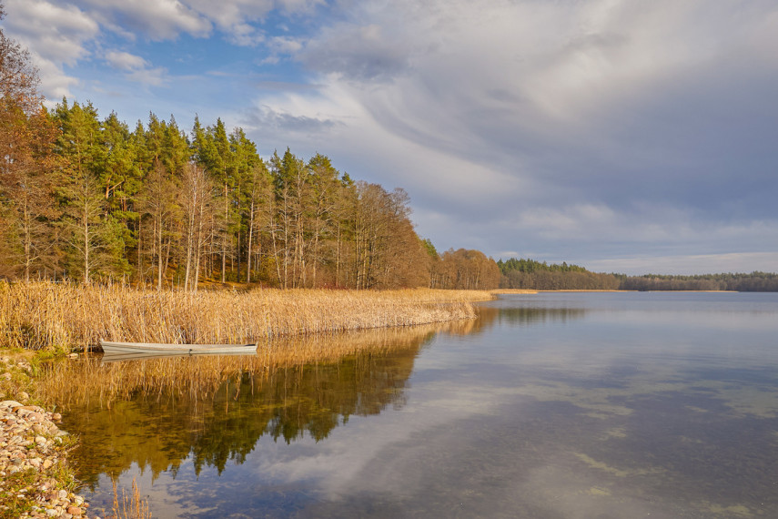 Parduodama sodyba Pušų g., Glūko k., Varėnos r. 13