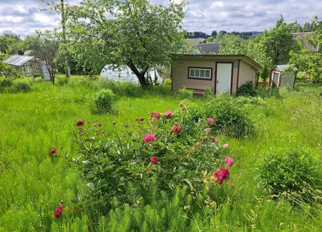 Parduodamas namas Narkūnų k., Utenos r. sav., 16.00 m² ploto 1 kambarys Parduodamas namas Narkūnų k., Utenos r. sav., 16.00 m² ploto 1 kambarys