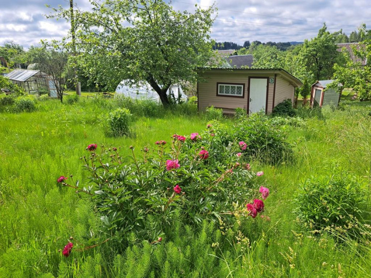 Parduodamas namas Narkūnų k., Utenos r. sav., 16.00 m² ploto 1 kambarys 1