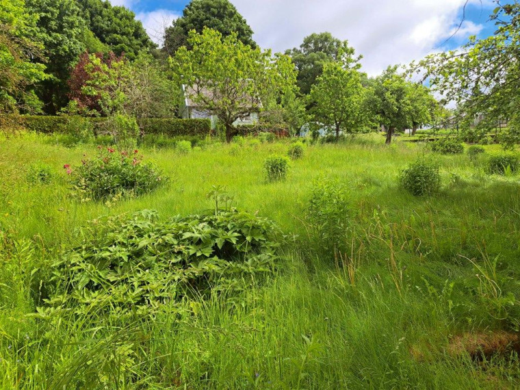 Parduodamas namas Narkūnų k., Utenos r. sav., 16.00 m² ploto 1 kambarys 6