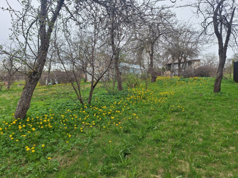 Parduodamas kitos paskirties sklypas Kurmaičių Sodo 11-oji g., Kurmaičių k., Mažeikių r. sav., 6 a ploto 15