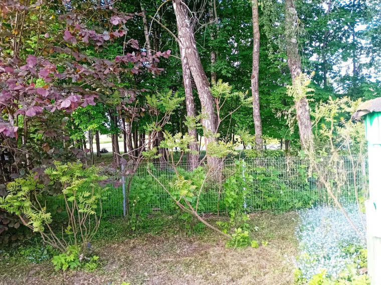 Parduodamas namas Bangelės g., Perekšlių k., Panevėžio r. sav., 73.00 m² ploto 3 kambariai 16