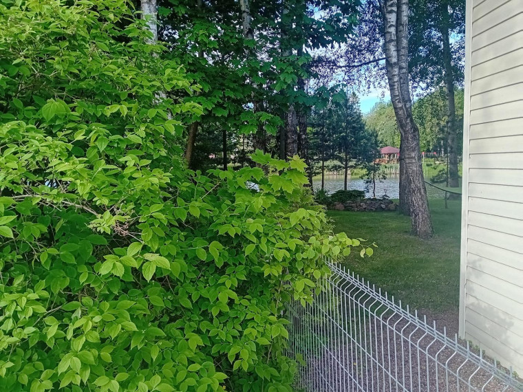 Parduodamas namas Bangelės g., Perekšlių k., Panevėžio r. sav., 73.00 m² ploto 3 kambariai 21