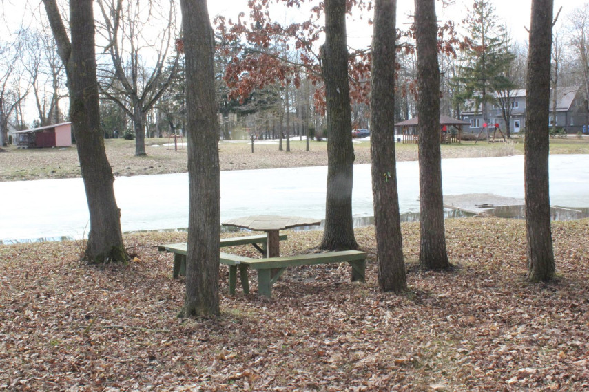 Parduodamas namas Bangelės g., Perekšlių k., Panevėžio r. sav., 73.00 m² ploto 3 kambariai 6