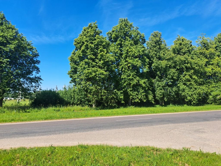 Parduodamas namas Motiejūnų k., Širvintų r. sav., 493.93 m² ploto 5 kambariai 7