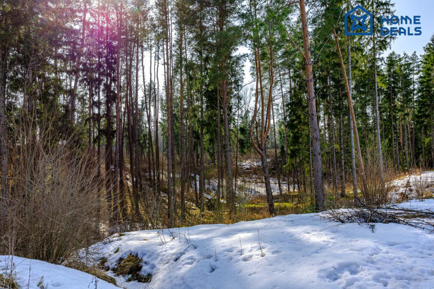 Parduodamas namas Verbų g., Didžiosios Riešės mstl., Vilniaus r. sav., 217.64 m² ploto 4 kambariai 49