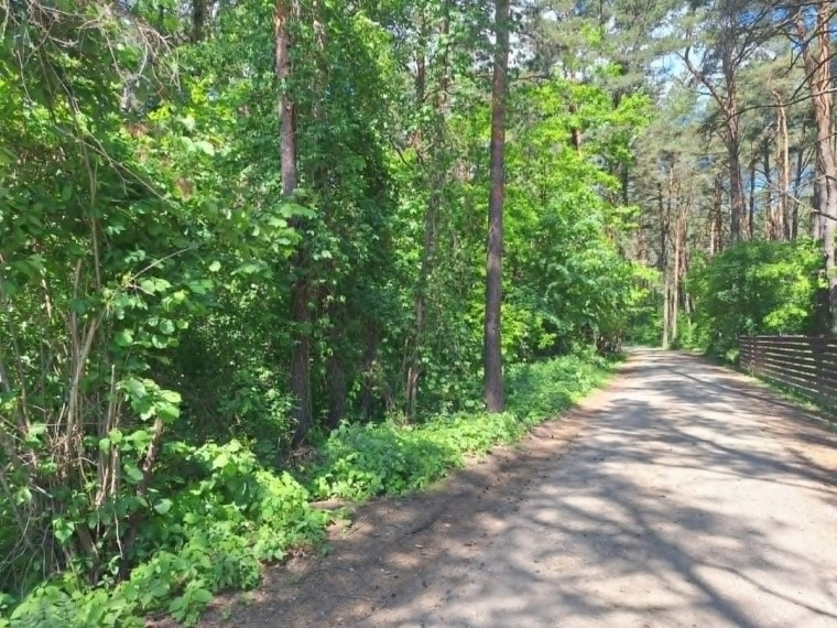 Parduodamas namas Draugystės g., Masteikių k., Kauno r. sav., 23.85 m2 ploto, 1 aukštai 9