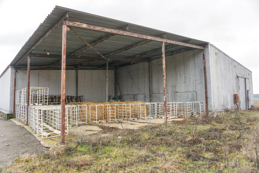 Parduodamos administracinės, gamybinės, kitos paskirties, sandėliavimo patalpos Taikos g., Fermos k., Panevėžio r. sav., 1990 m2 ploto 27