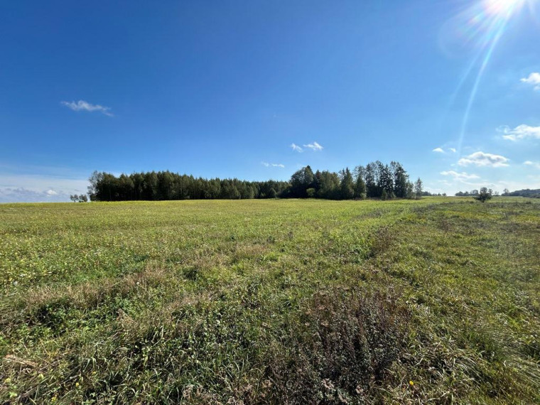 Parduodamas sklypas Girbučių k., Kupiškio r. sav., 425 a ploto 11