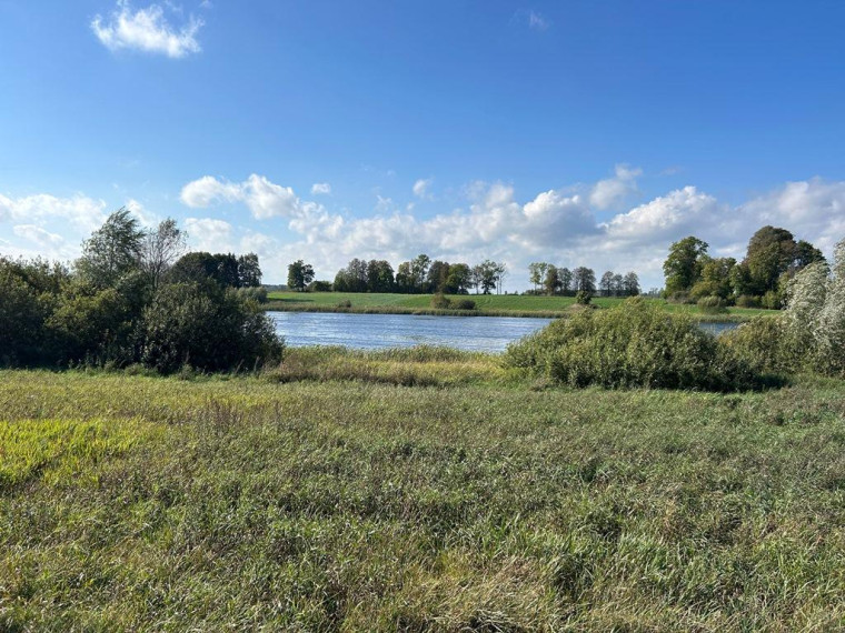 Parduodamas sklypas Girbučių k., Kupiškio r. sav., 425 a ploto 12