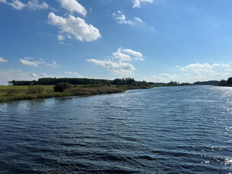 Parduodamas sklypas Girbučių k., Kupiškio r. sav., 425 a ploto 15