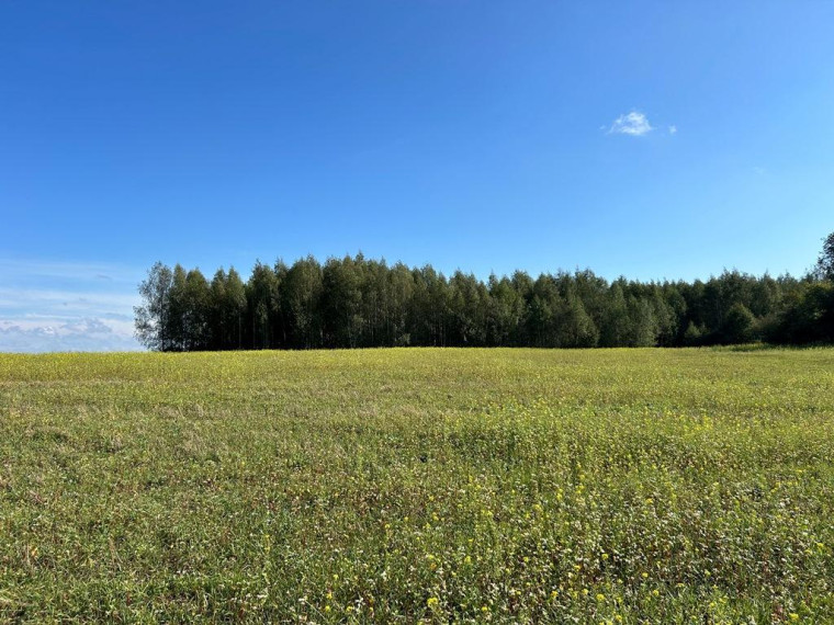 Parduodamas sklypas Girbučių k., Kupiškio r. sav., 425 a ploto 6