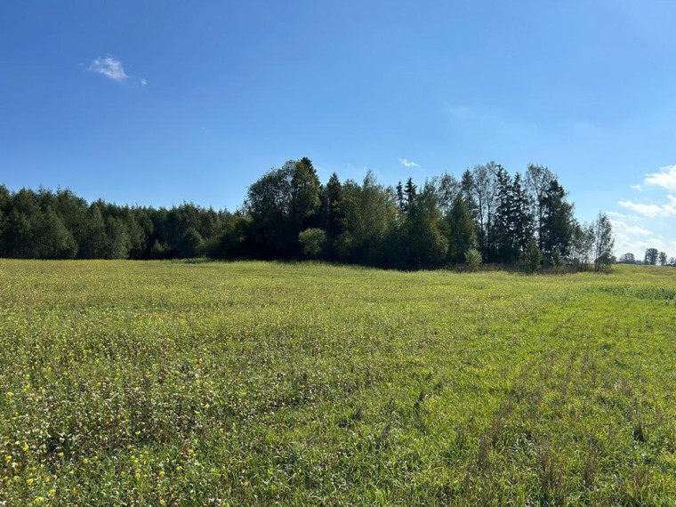 Parduodamas sklypas Girbučių k., Kupiškio r. sav., 425 a ploto 7