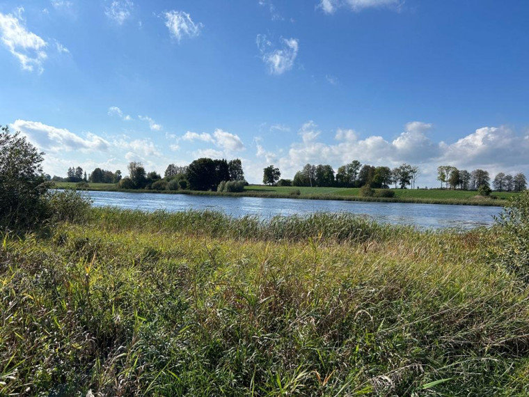 Parduodamas sklypas Girbučių k., Kupiškio r. sav., 425 a ploto 8