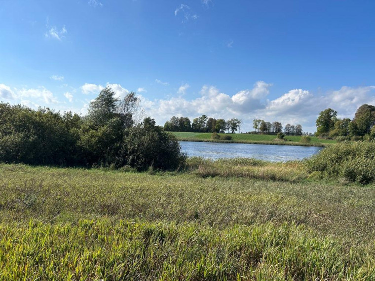 Parduodamas sklypas Girbučių k., Kupiškio r. sav., 425 a ploto 9