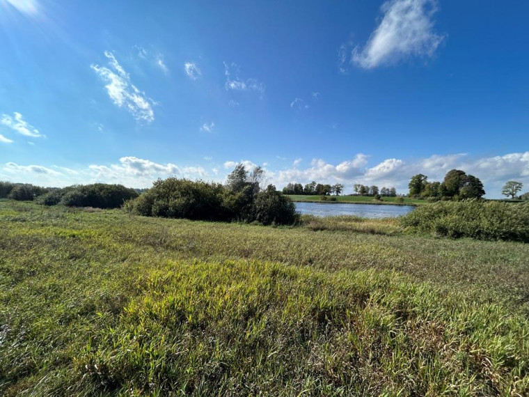 Parduodamas sklypas Girbučių k., Kupiškio r. sav., 425 a ploto 10