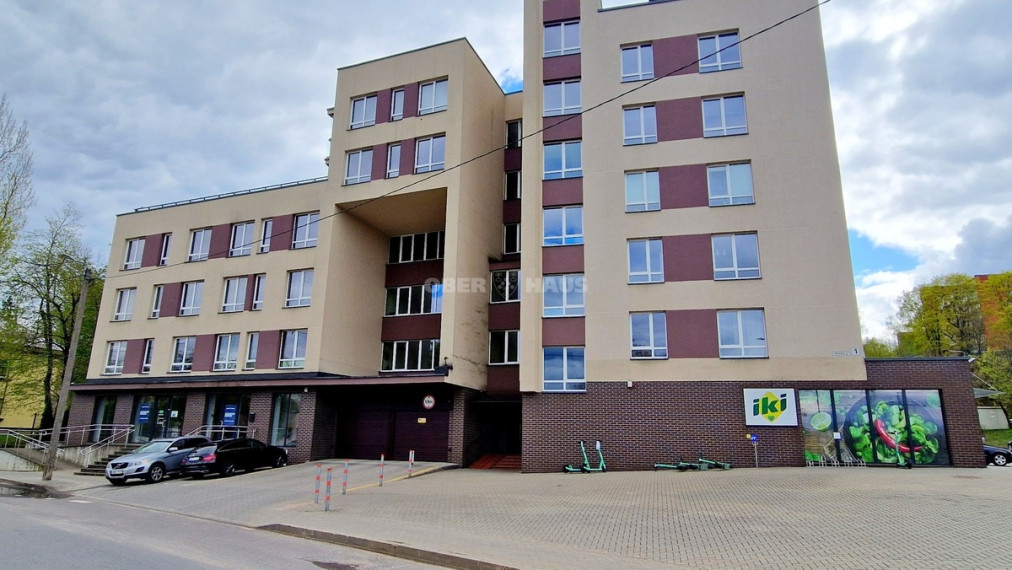 Parduodamos administracinės, kitos paskirties patalpos Dzūkų g., Naujininkai, Vilniaus m., Vilniaus m. sav., 248.14 m2 ploto 1