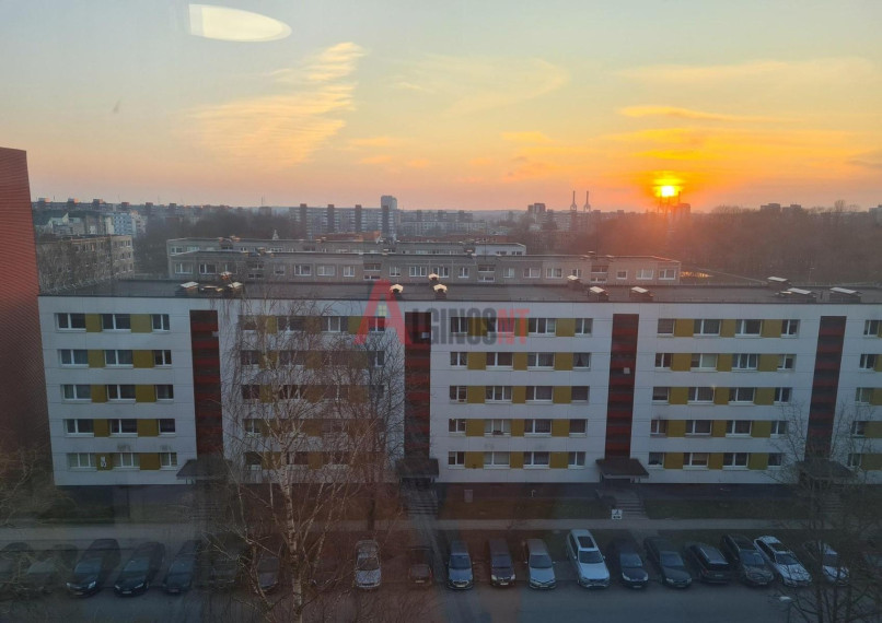 Parduodamas butas Šiaulių g., Vingio, Klaipėdos m., Klaipėdos m. sav., 33 m² ploto 1 kambarys 10