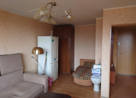 Parduodamas butas Radviliškio g., Zokniai, Šiaulių m., Šiaulių m. sav., 29.07 m² ploto 1 kambarys