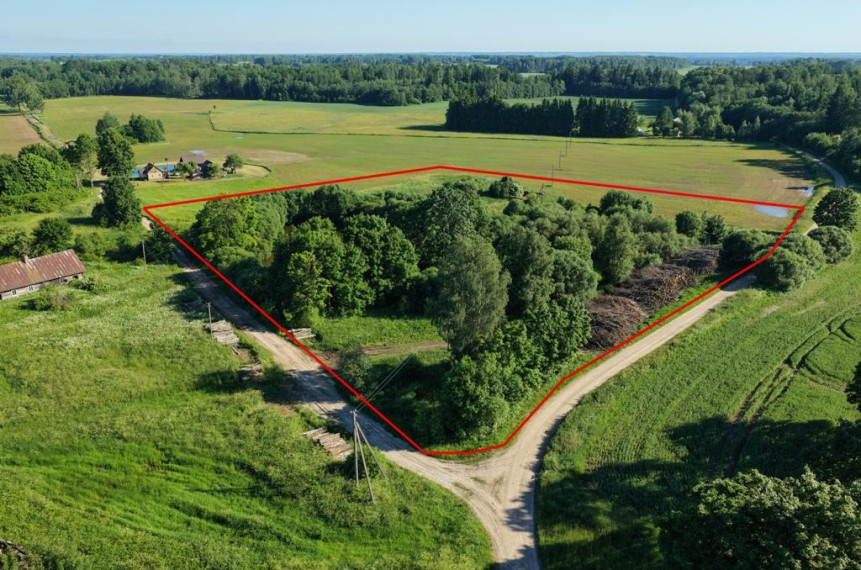 Parduodamas namas Savičiūnų k., Anykščių r. sav., 420.00 m² ploto 5 kambariai 3