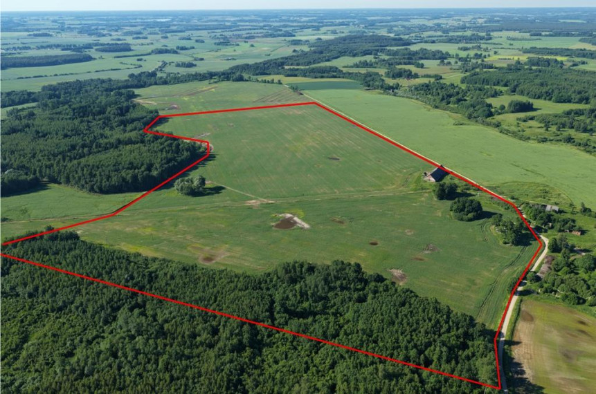 Parduodamas namas Savičiūnų k., Anykščių r. sav., 420.00 m² ploto 5 kambariai 5