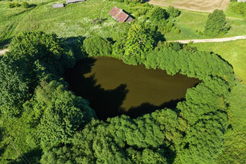 Parduodamas namas Savičiūnų k., Anykščių r. sav., 420.00 m² ploto 5 kambariai 14