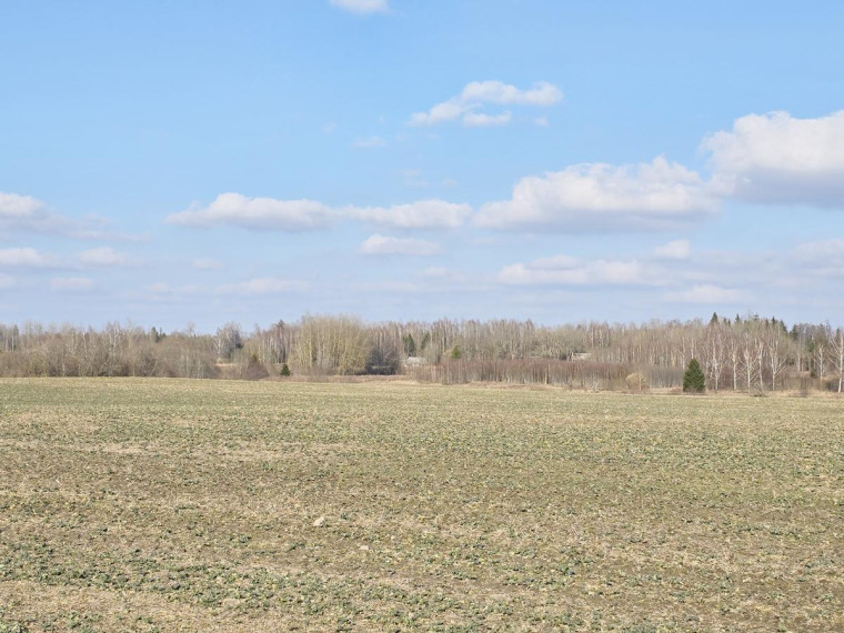 Parduodamas namas Savičiūnų k., Anykščių r. sav., 420 m² ploto 5 kambariai 16
