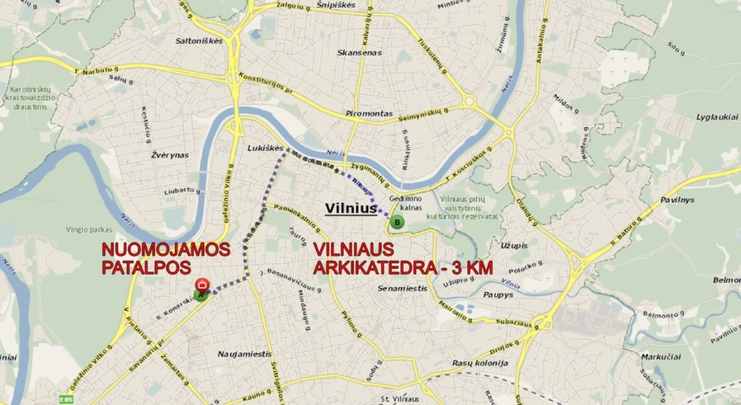 Parduodamas butas Savanorių pr., Vilniaus m., Vilniaus m. sav., 95.39 m2 ploto, 4 kambariai 32