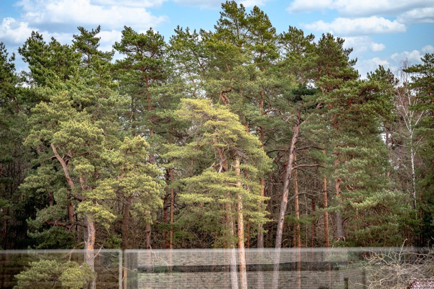 Parduodamas namas Pušyno kel., Vilniaus m., Vilniaus m. sav., 186 m2 ploto, 2 aukštai 27