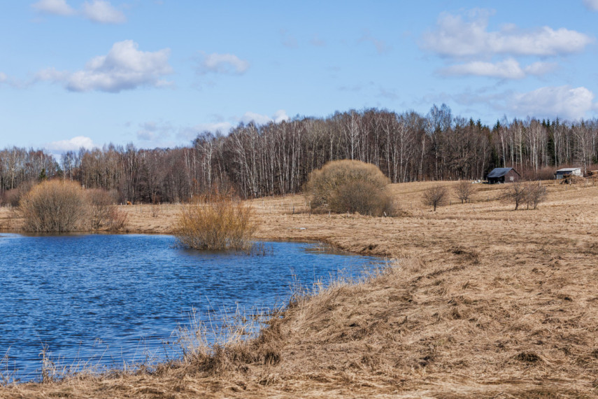 Parduodamas  sklypas Grikšų g., Grikšų k., Klaipėdos r. sav., 51.85 a ploto 7