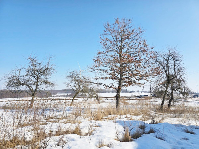 Parduodamas namas Mietkalnio k., Kelmės r. sav., 54.89 m² ploto 2 kambariai 9