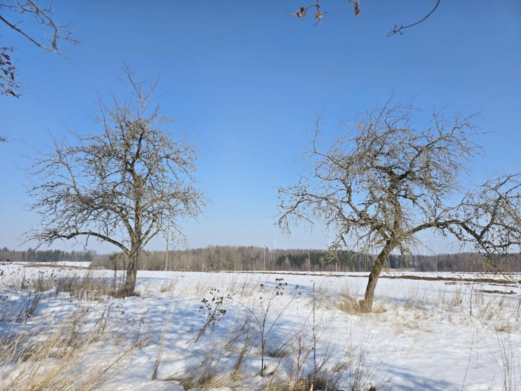 Parduodamas namas Mietkalnio k., Kelmės r. sav., 54.89 m² ploto 2 kambariai 10