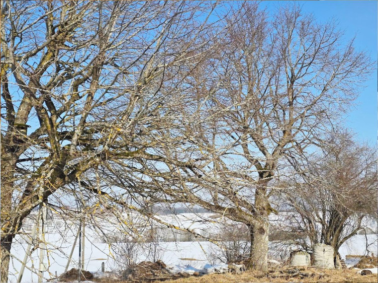Parduodamas namas Bielskiškių k., Kelmės r. sav., 600 m² ploto 10 kambarių 17