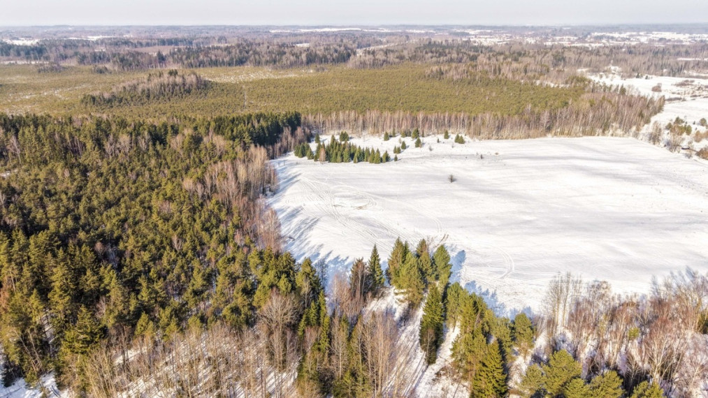 Parduodamas  sklypas Aleksandravėlės vs., Vilniaus r. sav., 328.03 a ploto 9